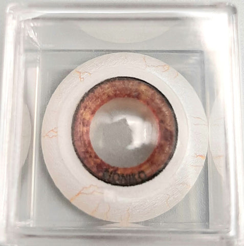 OKULO BROWN 8 (BR8) - CATARACT & COMPLICATIONS